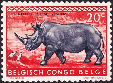 Конго бельгийское 1959 год . Белый носорог . Каталог 3,25 фунта.